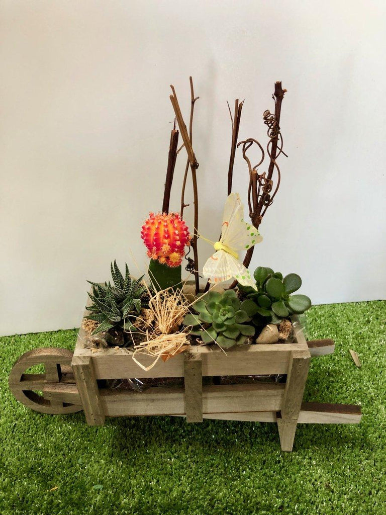 Wheelbarrow Delight Dish Garden - Shalimar Flower Shop