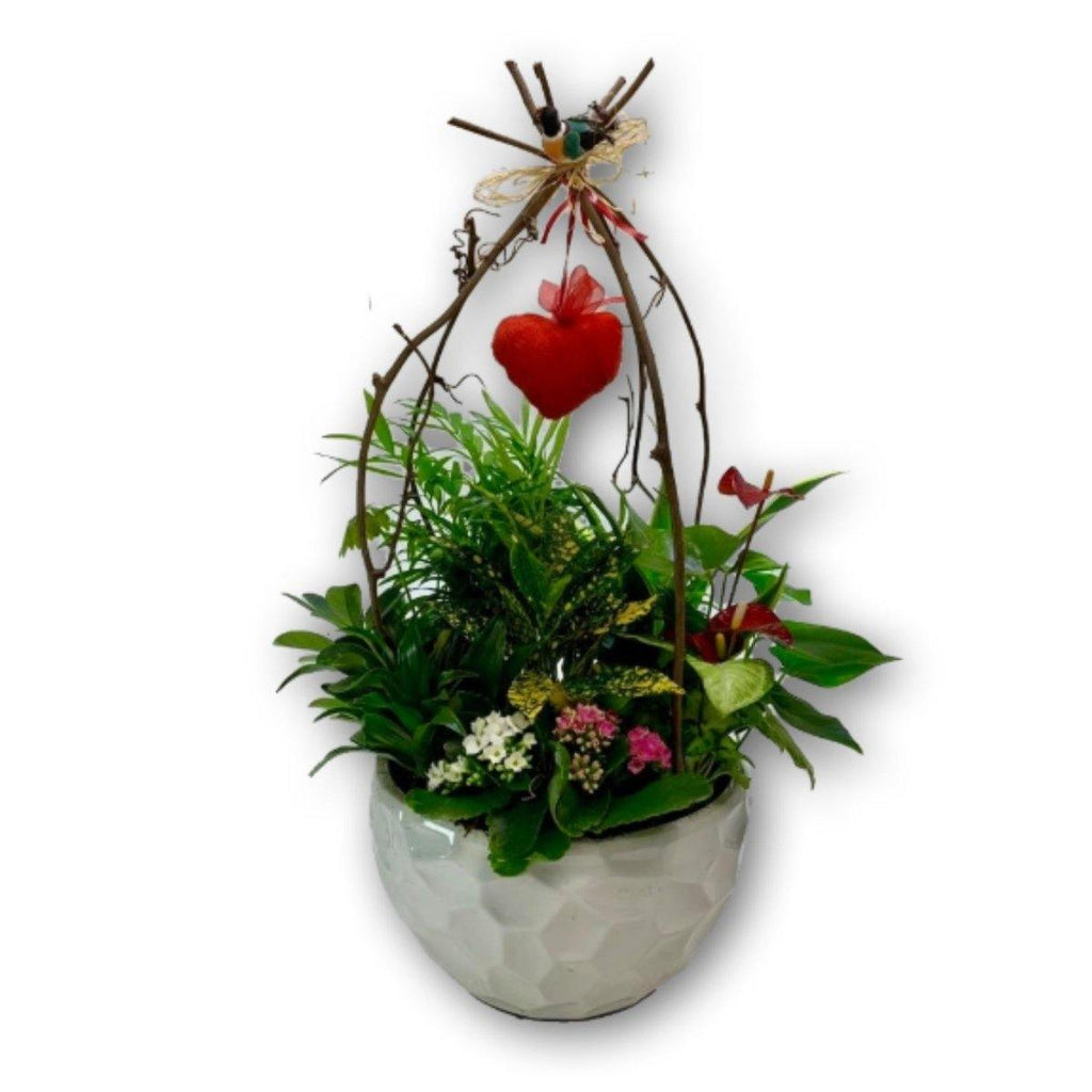 'You Have my Heart' Planter - Shalimar Flower Shop